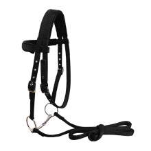 Bridle Tack Holder Removable Nylon Webbing Bridle in Red and Black, Medium Size for Horses, Durable and Adjustable