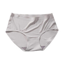 PARK (L-Hellgrau) Stretch-Damen-Slip, exquisite Verarbeitung, Eisseide, mittelhohe Damen-Unterhose