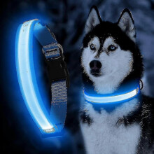 PARK(M)Hundelichter für Halsbänder - Verstellbares leuchtendes Hundehalsband - Wasserdichtes LED-Hundehalsband