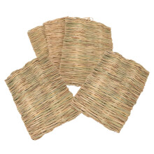 Pack of 5 Guinea Pig Plush Noodle Summer Mats for Small Pets Cooling Sleeping Mat for Hamsters and Rabbits
