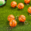 24 Pack Basketball Keychains,Mini Stress Ball Keychains 6