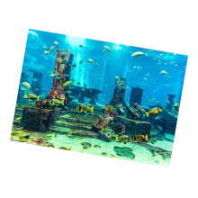 PVC Coral Aquarium Background Underwater Poster Clear Fish Wall Decoration Sticker 61x30CM for Beautiful Aquarium Display