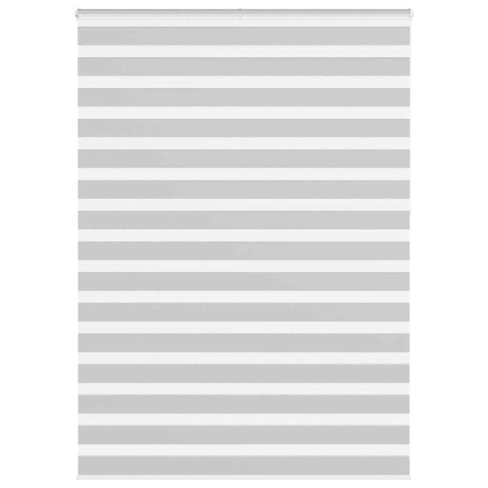 Vidaxl (Light Grey, 165 X 230 Cm) Zebra Blind Black 145X230 Cm Fabric Width 140.9 Cm Polyester