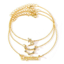 Men's Alloy Bracelet and Anklet Set with 12 Zodiac Signs, Layered Design, Gold with Diamonds, 3-Piece Rose Necklace (L, One Size)