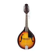 A-Style 8-String Mandolin Beginner Set with Adjustable Yellow Linden Wood and Rosewood Steel Strings Music Instrument