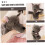Plush Wolf Hand Puppet for Interactive Storytelling, Motor Skills and Communication, Versatile Use 5