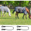Adjustable Elastic Horse Blanket Leg Straps with Double Clip Design, Stretch Replacement, 4-Pack, Durable Material 2
