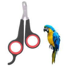 Animal Nail Scissors for Birds and Small Pets - Stainless Steel Nail Clippers, Beak Cutter, Essential Grooming Tool