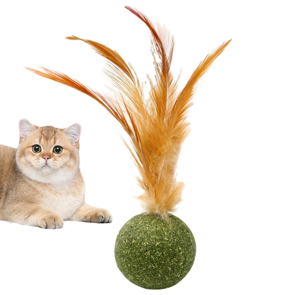 Magic Cat Balls - Edible Catnip Shuttlecock with Feathers, Safe Chew Toy for Kittens, Teeth Cleaning Cat Toy