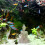 PARK(B)1 Pcs Statue de Bouddha en grès Décoration d'aquarium Paysage vif pour décorations 2