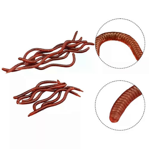 PARK (8 cm) 20 Pcs Künstliche Regenwurm Angeln Köder 8 Cm 10 Cm Simulierte Regenwurm Weichen Köder Predator 1