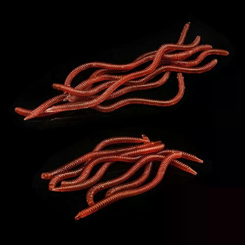 PARK (10 cm) 20 Pcs Künstliche Regenwurm Angeln Köder 8 Cm 10 Cm Simulierte Regenwurm Weichen Köder 2