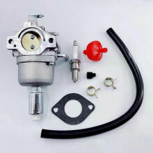 PARK (1 Set B) 594593 Vergaser Für Briggs und Stratton 175hp 591731 796109 31H777 590400 796078 498811