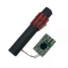 PARK(B)DCF 77 Empfängermodul Funkmodul Funkuhr Funkmodul Antenne DCF1 Uhr