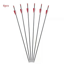 PARK (Frankreich) 6 mm Fiberglaspfeile, 31 Jagd-Übungspfeile, Spine 800 für Recure- und Compoundbogen-Ziel