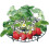 PARK (5 pezzi) 5/10/20 pezzi Supporto per fragole da balcone Supporto per frutta Pianta rampicante per 2