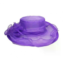 PARK (LILA) Damen Fedoras Sonnenhut Prinzessin Vintage Elegant Durchsichtig Mesh Blume Royal Sonnenschutz