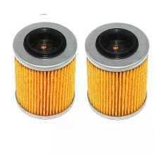 PARK (2 PCS) ATV Ölfilterelement für CFMOTO CF450 550 600 800 1000 X8 CF850 CFORCE 600 CF400AU 0800-011300
