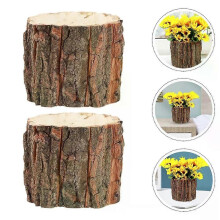 PARK (10 x 10 cm) Lot de 2 seaux décoratifs en écorce pour fleurs, jardinières d'extérieur, pots décoratifs