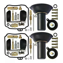 PARK (B-2SET) Vergaser-Reparatursatz für V-Star 650 1998–2014, XVS650, XVS65A, Tablete650 Classic 2009–2013,