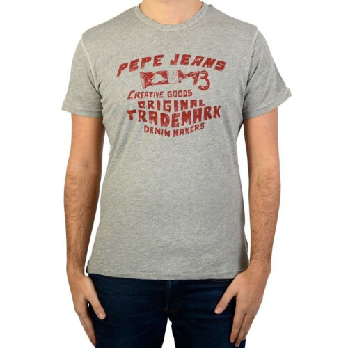 Pepe Jeans Tee-Shirt Pepe Jeans Janvan - Gris clair