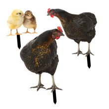 Garden Chicken Yard Sign Insert - Decorative Hen Stake for Lawn, Weather-Resistant, 24-Inch Metal Chick Stake