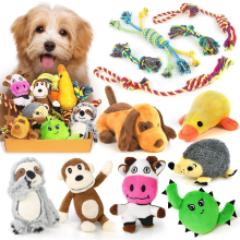 LEGEND SANDY Puppy Toys, Squeaky Dog Toys for Small Dogs, 12 Pack Puppy Chew Toys for Teething, Dog Rope Toy and Cute S