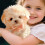Roboter Puppy - Interactive Plush Robot Dog Toy, Realistic Simulation Pet, Walking, Barking, Tail Wagging Features 3