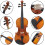 Beginner Violin 4/4 Full Size Solid Maple Scroll Design Practice Instrument for Students 3
