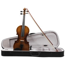 Violin Starter Set 4/4 Size Helle Farbe Violine Linde Ideal for Adult Beginners High-Quality Materials