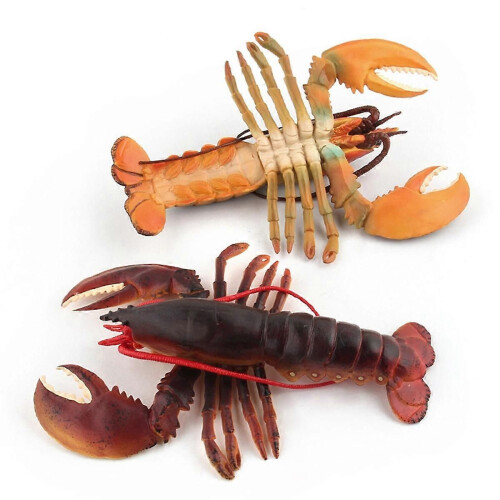 Realistic Marine Simulation Lobsters Model Figures Toy for Kid Gift D 2