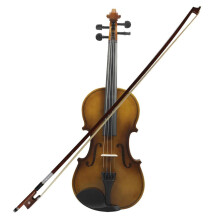 Violin Starter Set 4/4 Acoustic Violin Retro Style for Beginners with Bow and Case, Ideal for Student Musicians