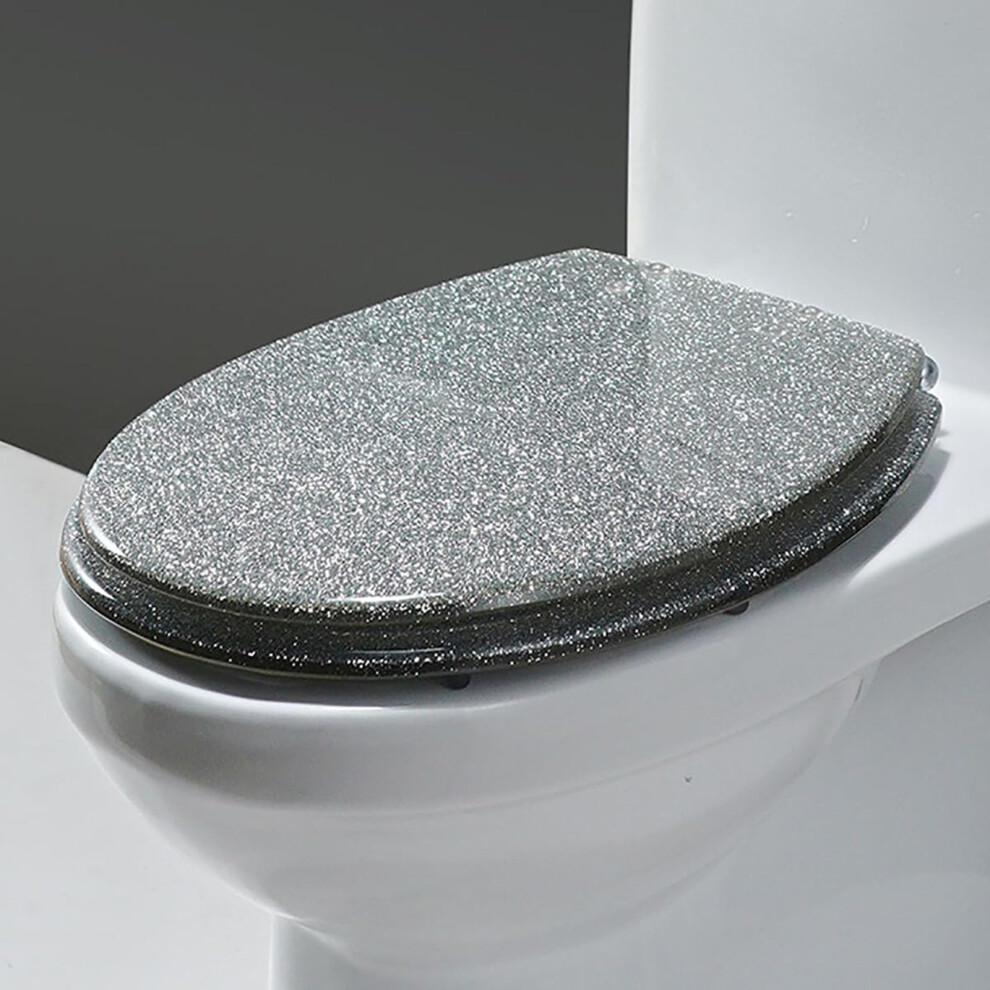 Glitter Toilet Lid With Soft-Close Mechanism, Oval Resin Toilet Seat 36 X 42 Cm, Quick Release Silver Top Attachment 6482260066677