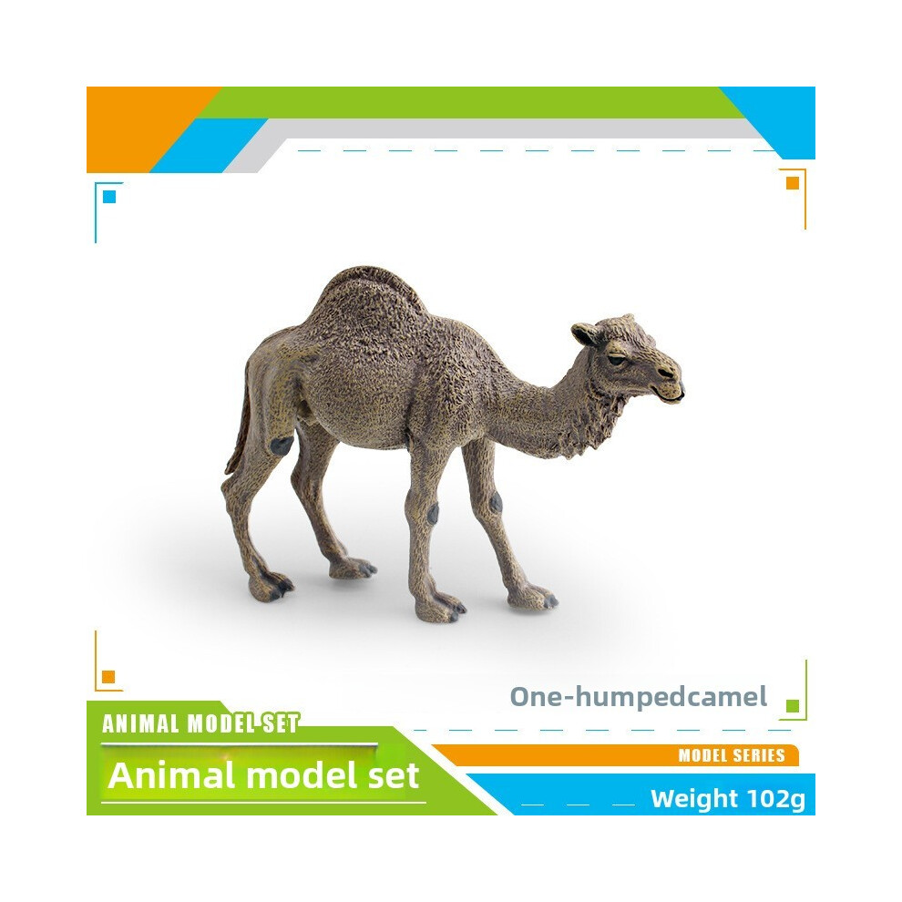 (Style A) Wild Animal Pvc Model Ornament Camel Collectible For Decoration Childrens Room-image-OPC-PK2RXYS-NEW