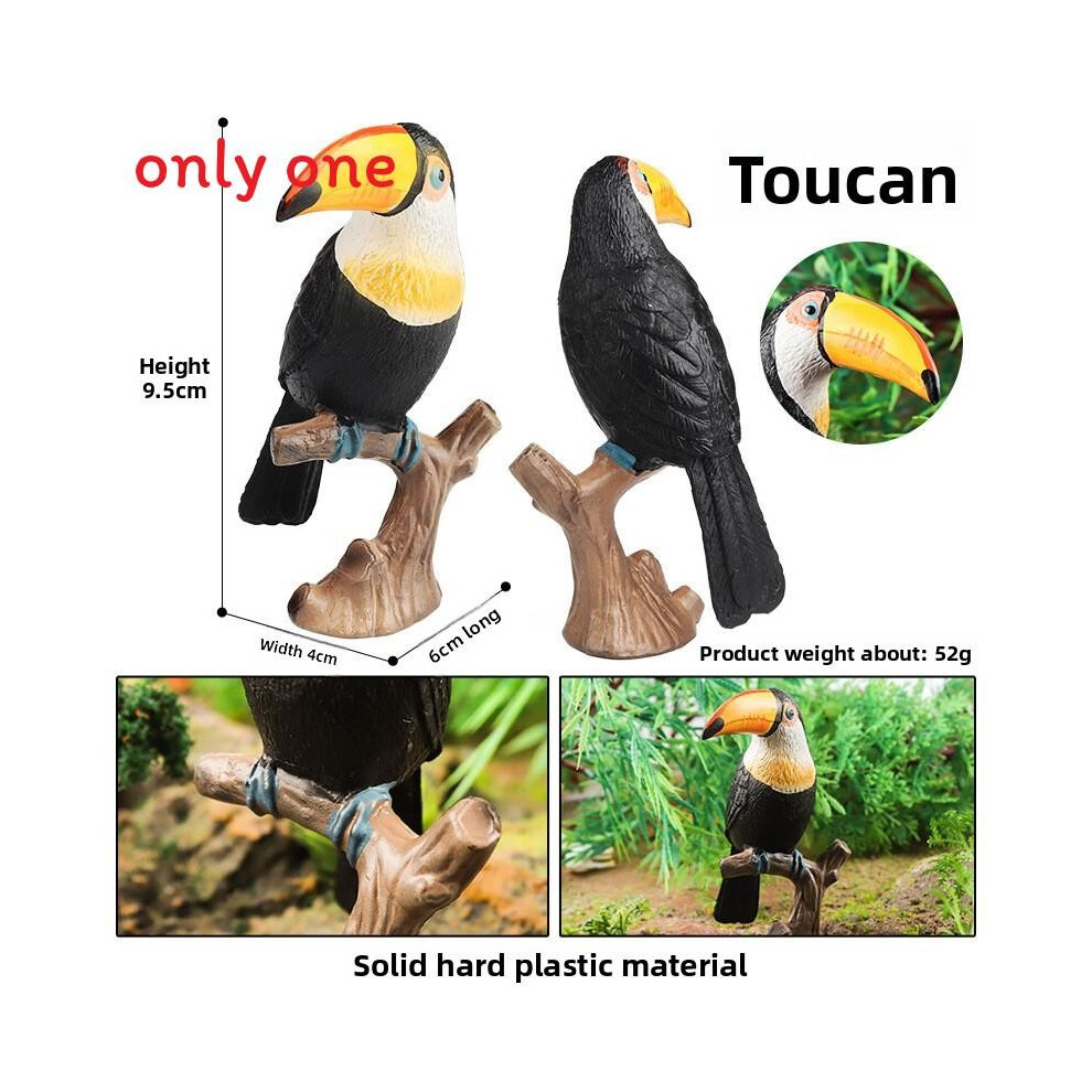 (Toucan) Animal Wildlife Model Solid Plastic Parrot And Hornbill Figures Gift For Kids-image-OPC-PK2SBMB-NEW