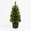 Green 3ft Christmas Tree, Pre-Lit Mini Tree with LEDs for Home Decor 1