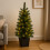 Green 3ft Christmas Tree, Pre-Lit Mini Tree with LEDs for Home Decor 5