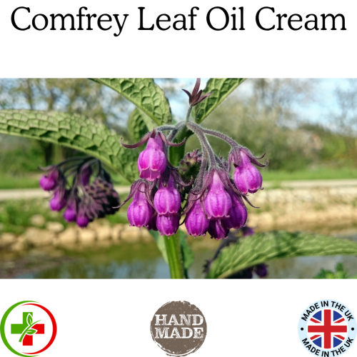 Comfrey Knitbone Salve Ointment for Bone Healing Arthritis  Joint Pain 1