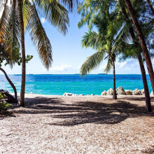 Tropical Beach Photo Booth Backdrop - 5,9x5,9ft Perfekt festdekoration fr fdelsedagsbrllop Luau Moana Party