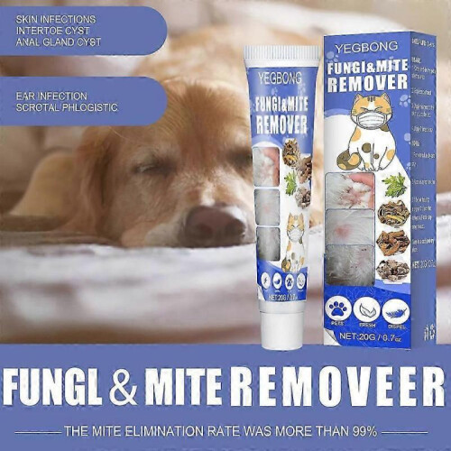 ringworm treatment for pets with anti-itch cream