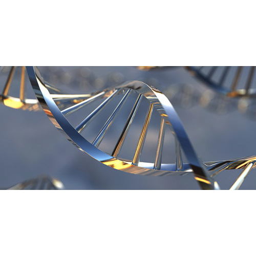 Express DNA Paternity Test Kit Father Child Lab 2