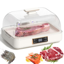 Electric Defrosting Board with Adjustable Gear and Heat Cycle for Rapid Defrosting of Frozen Food at Constant Temperature