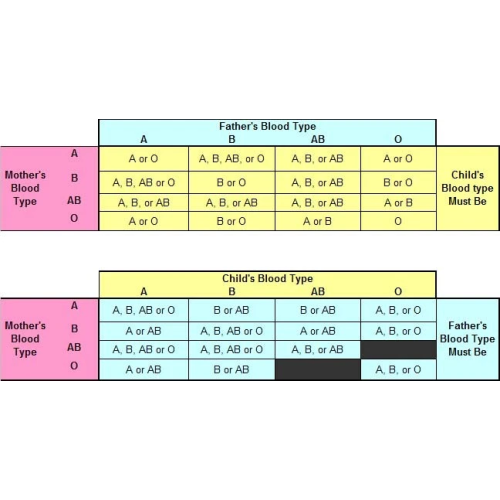 2 x Blood Type Test Kits A, O, B, Rhesus D Groups 1