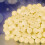 Premier 300 LED Mini Berry Lights Warm White Multi Action Timer 7.5M 3