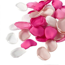 (HotPink) 200Pcs Artificial Petal Realistic Non-fading Exquisite Romantic Fake Rose Petal Photography Props Pa