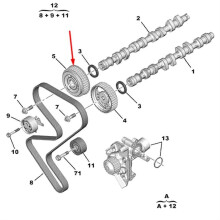Motor-Nockenwellenrad, Steuerrad 0805J4 für 307 cc, 2.0 l, 2004–2008, für C5, 2.0 l, 2004–2008