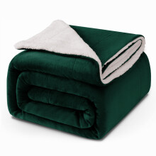 (Double, Emerald) Sherpa Blanket Thick Soft Reversible Winter Warm Throw - 480 GSM Mink Fleece Sofa Bed Travel Blanket