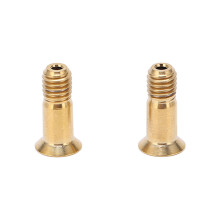 Titanium-Legierung Hinterradschaltwerksführung Radschraube M5x14,2 mm Gold