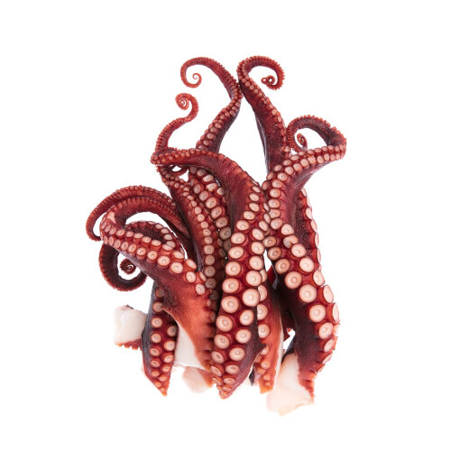 Vac Pac Frozen Cooked Octopus Tentacles 350g x 15 Pack
