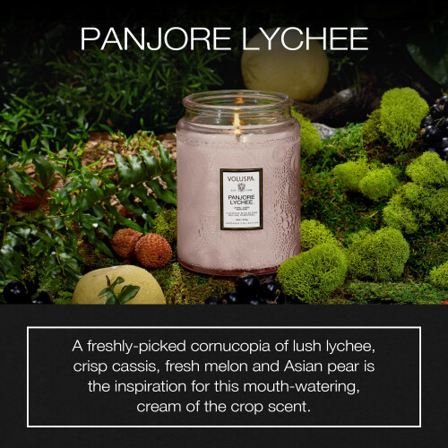 Voluspa Voluspa Panjore Lychee, Μεγάλο Βάζο Κεριού, 18 oz, 100 Ώρες Καύσης, Κηρός Καρύδας για Καθαρή Καύση 1